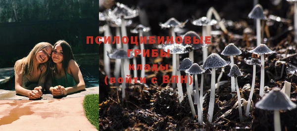 каннабис Покачи
