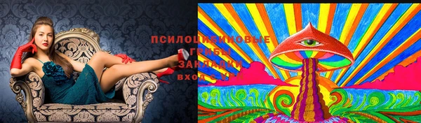 Альфа ПВП Покровск