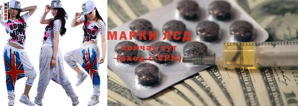 крисы Губаха