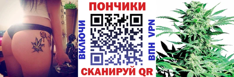 Конопля гибрид  купить закладку  Энгельс 